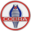 <h1 class="text-primary mb-1">Cobra Cobra Car Covers</h1>