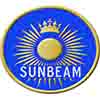 <h1 class="text-primary mb-1">Sunbeam Rapier IV Car Covers</h1>